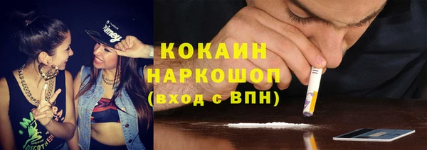 прущие грибы Алзамай