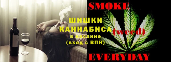прущие грибы Алзамай