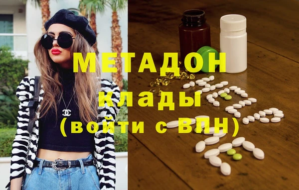 прущие грибы Алзамай