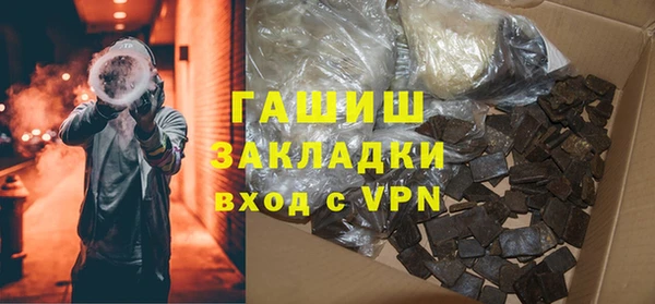 хмурый Алексин