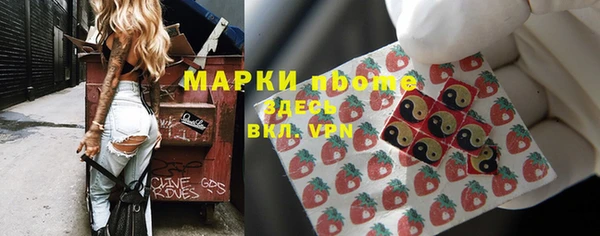 прущие грибы Алзамай
