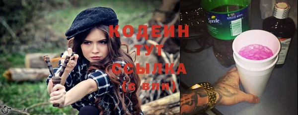 хмурый Алексин