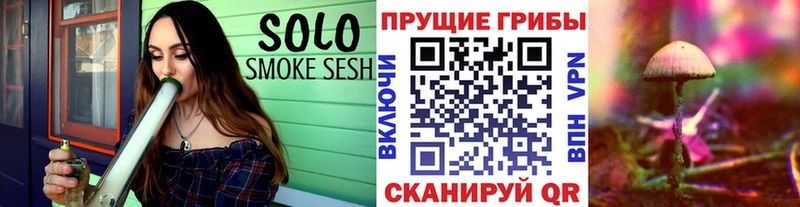 Псилоцибиновые грибы прущие грибы Чусовой