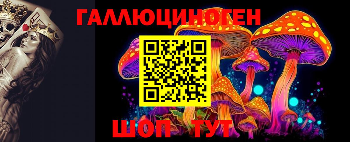 Псилоцибиновые грибы Cubensis Чусовой